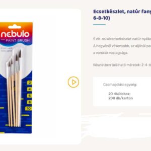 Ecsetkészlet. natúr fanyelű. 5 darabos (2-4-6-8-10)